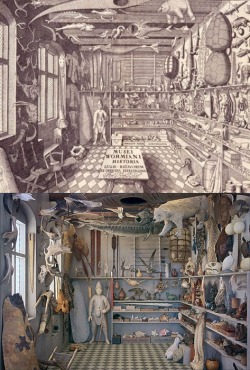 Recreation of Olaus Worm’s museum, two rooms, by Rosamond