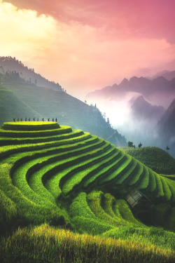 lsleofskye:Mu Cang Chai | cumacevikphoto