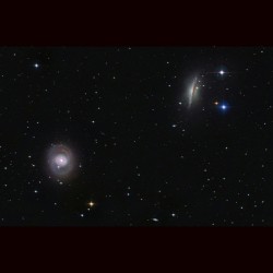 Cetus Duo M77 and NGC 1055 #nasa #apod #galaxy #universe  #space