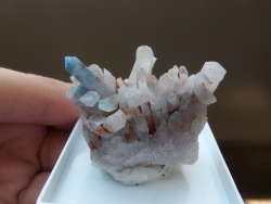 amber-skies-with-dragons:  The very beautiful and rare Papagonite.