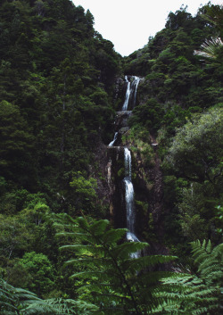 stayfr-sh:  Kitekite Falls by Hannah Davis on Flickr.      