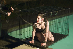 andrastephotography:  Reyja in the Cage  I have a fondness for