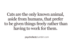 psychofactz:  More Facts on Psychofacts :)