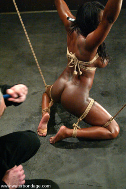 englishbondage:  submissive-black-women:  Give it a good beating…