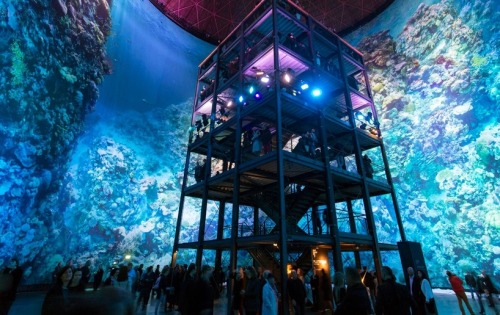 staceythinx:  Great Barrier Reef byÂ Yadegar AsisiÂ  About the project:  On a 1:1 scale, the Nature Panorama presents the unique underwater world of the coral reef off the coast of Australia in all its fragile beauty and complexity. From a perspective