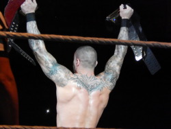 warblgarbl4lyf:  WWE live in Toronto pt 5 There would be way