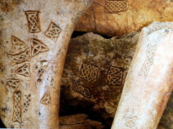 irisharchaeology:  Trial motifs carved into pieces of animal