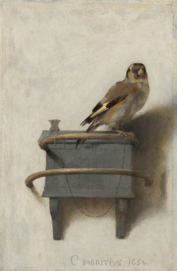 mauveflwrs:Carel Fabritius - Het puttertje (The Goldfinch) (1654)