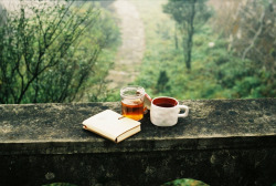 brutalgeneration:  morning tea (by Straw Na) 