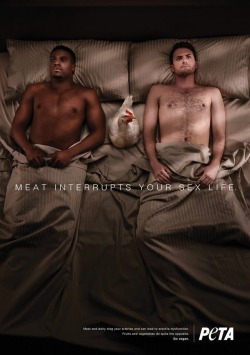 lusty-lycanroc: rakkuguy:  failnation: New PETA ad looks like