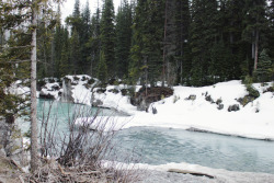 matchbox-mouse:  Looking over the river.Alberta, Canada.