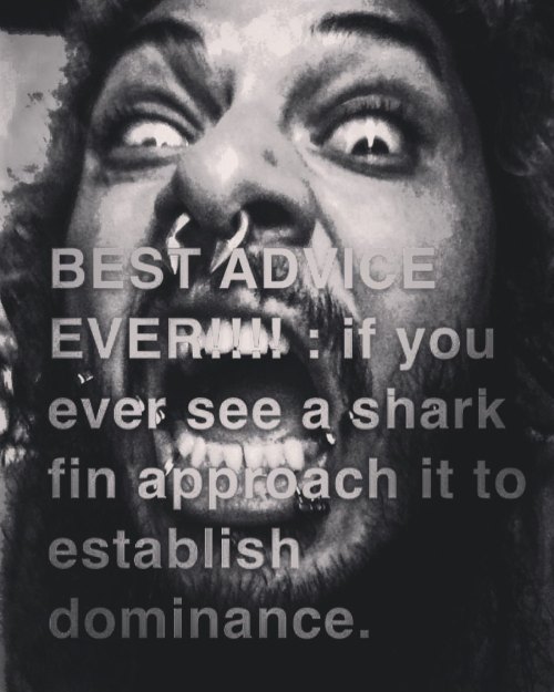 #rawr #bigbite #sharkbaithoohaha  https://www.instagram.com/p/CC6K_FHlOkN/?igshid=148e49enl47dn