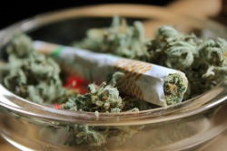 smokingweed:  joints and buds (: 