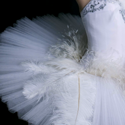  Costume Design of Black Swan Swarovski crystal, renowned for