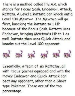 tarnished-sanity:  “Remember my super cool Rattata? My