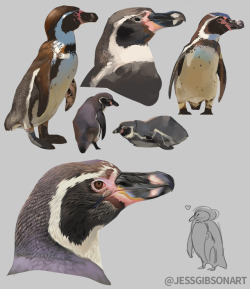 servalineart: Suddenly, PENGUINS