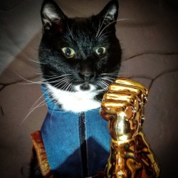 cat-cosplay:  cat-cosplay:  Our lips are sealed. Respect #ThanosDemandsYourSilence.