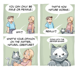 Assigned Male