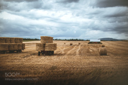 socialfoto:  Earth by LaureenBurton1 #SocialFoto 