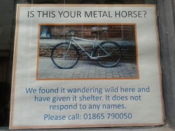 46cmt:  If you find your metal horse missing go call 