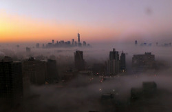 awkwardsituationist:  fog over (click pic) dubai (photographed