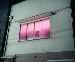  Pink window in the red light district, Tokyo, 2009 by Thomas