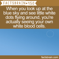 factsbrain:  When you look up at the blue sky and see little