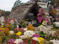 travelthisworld:  Garden Nagoya Castle, Nagoya, Japan | by Steffen