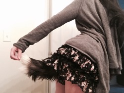 moonchildashli:  When you feel hella cute and your tail is on