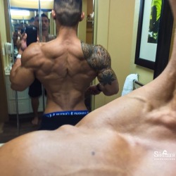 Adonis Files
