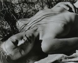 liquidnight:  Andreas Feininger Nude at the Beach, 1932 From