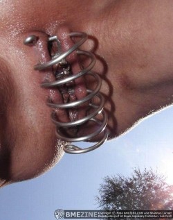 pussymodsgalore  Wire spiral wound through multiple piercings