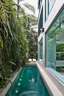 andhitecture:  A Brazilian Duplex with a Pool That Becomes Art