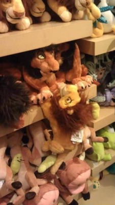 neverlands-stuffie-adoption:  this is absolutely horrible, but