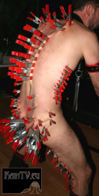kaintv:  #gay #BDSM #slave #clamps #realpain www.kaintv.eu