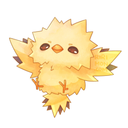 ririmon:  smol legendary birbs 