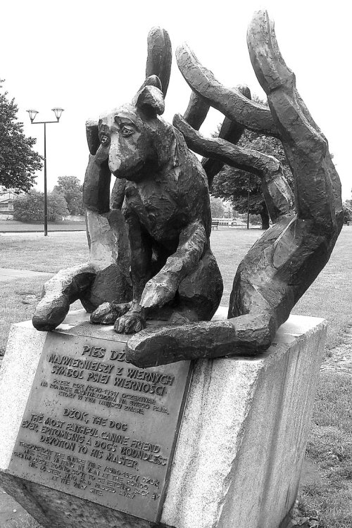 Memorializing man’s best friend (Krakow, Poland)