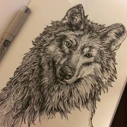 atramentaria-art:  Why do I draw things covered in fur? #wolf