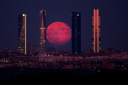 ninepulse:  The moon shines through the Four Towers Madrid skyscraper