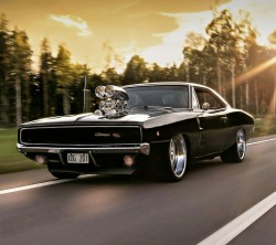 ginvandegreif:  Dodge Charger 