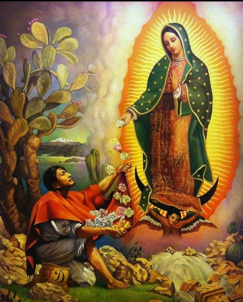 Día de La Virgen de Guadalupe! Viva! 🇲🇽🙏🏽❤️💚