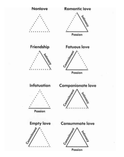 whitenoiseastrology:  the signs as sternberg’s triangular theory