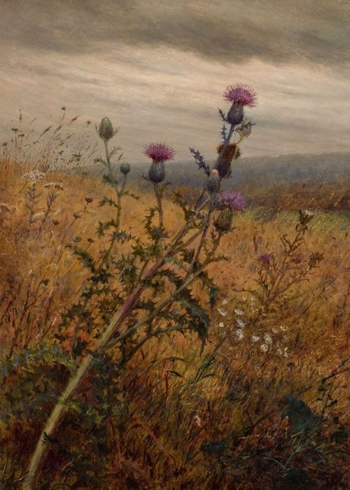 womansart: Fidelia Bridges (American painter) 1834 - 1923Thistle