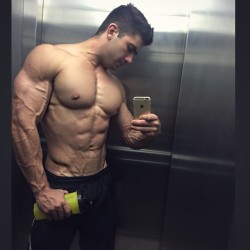 anothercuriousfratbro:  body goals.fucking perfect.