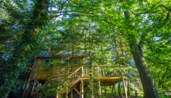 treehauslove:  Sunrise Treehouse. A two-bedroom treehouse with