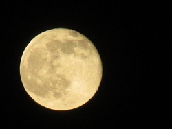 blainelovesyouyeahyeahyeah:  Full Moon, Friday the 13th, 2014