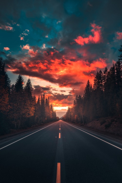 j-k-i-ng:“Fireball”🔥 by | Zach DoehlerBritish Columbia,