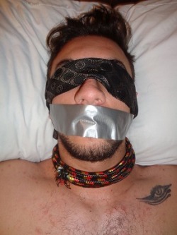 Tied up and gagged 256