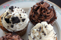 in-my-mouth:  Cupcakes