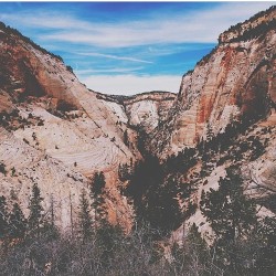 folklifestyle:  They marched to Zion. Photo by @ralfafara #livefolk